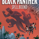 Image for article titled Marvel's New Black Panther YA Book Sees a Young T'Challa Coming to America